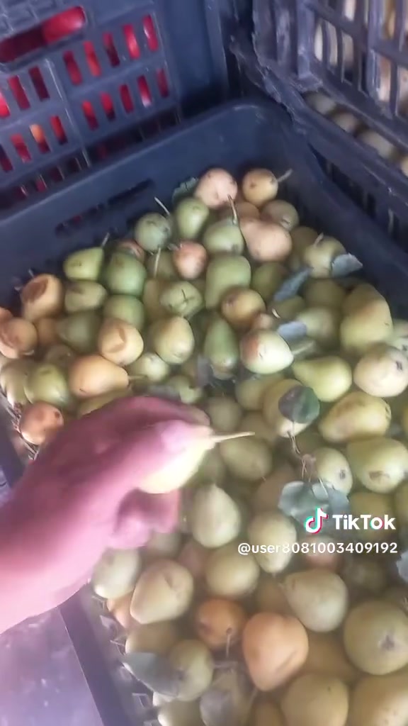 مسواك اليوم الاربعاء ٦/٢٤ علوة الحقلانية المركزية السبهاني بدايه سوق حقلانيه يوجد خدمه توصيل


**إذا كنت صاحب هذا الإعلان وتريد حذفه لأي سبب، رجاءا أرسل رسالة إلى الدعم الفني**