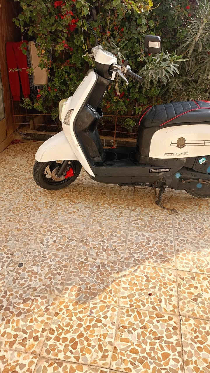 سلام عليكم دراجه للبيع بووليس كفاله عامه 😎 

لا تجي تكلي شبيها مابيها جاي اكول كفاله عامه ؟؟

السعر #بلخاص ماكتب هنا.  #او مراوس بنامه 25 ابلادي 
مو تعمير


**إذا كنت صاحب هذا الإعلان وتريد حذفه لأي سبب، رجاءا أرسل رسالة إلى الدعم الفني**