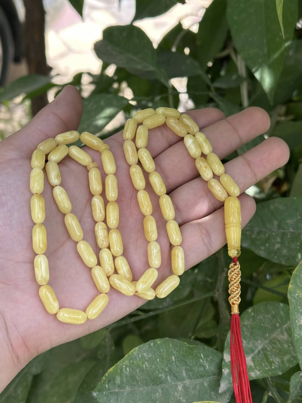 سلام عليكم كهرب حر وطبيعي خام سوبر مبركع 
كصة كبسولي ٢٤ غ /. ٥٠ حبة 
المسباح بادي ياخذ لون وسلسه بالايد زبد 
سعر الغرام ٥$ واعتذر على الاطاله


**إذا كنت صاحب هذا الإعلان وتريد حذفه لأي سبب، رجاءا أرسل رسالة إلى الدعم الفني**