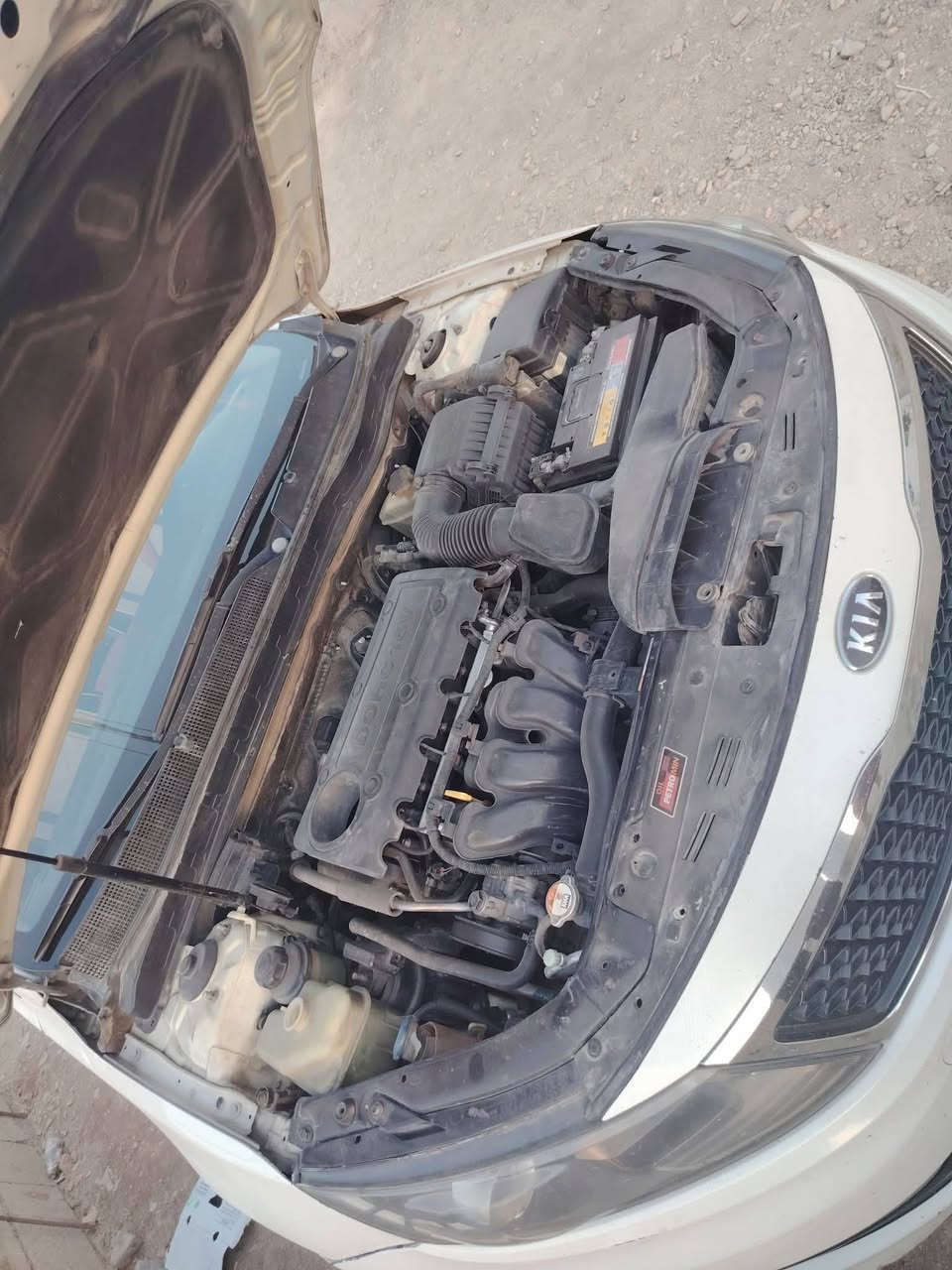 اوبتيما 2014خليجي vip للاخير
بصمه.بنوراما.كشنات جلد.كشن السايق كهربائي.خزن

 ميموري.تحكم ستيرن.مرايه شفط.بگ لايت ليد.

شفتات ستيرن.داخل بيجي.تخم ويل كب شركه 

محرك 2400دوش.كير 6 سرعات 

رقم اربيل الجديد باسمي تحويل او وكاله حاضر اني 

بيها رشات صبغ شرط بدون دواخل ابيع اقل الحزام 

السعر 115 ومجال بسيط للشراي 

*********** واتساب 

*********** 

المكان بغداد المحموديه
