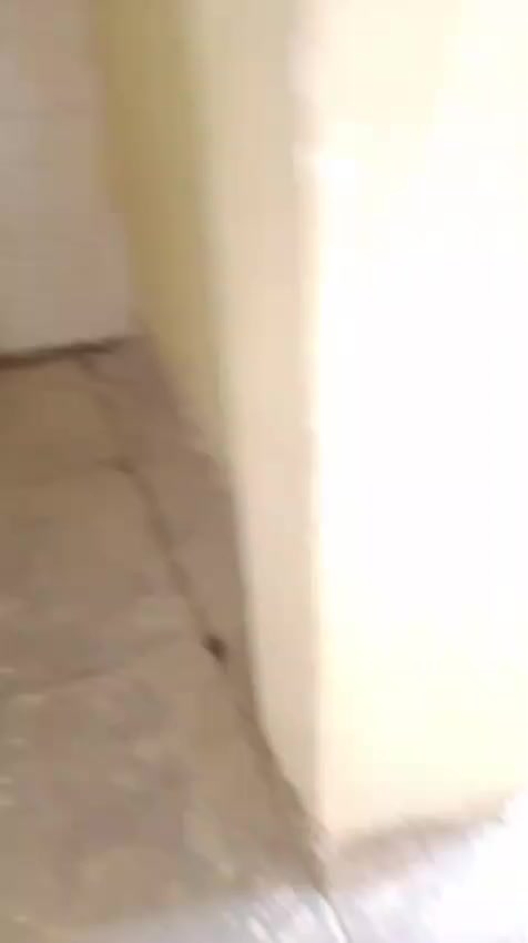 بيت للبيع سبع قصور بدايت شارع السيطره تبليط طابق اونص مسلحه السعر ٤٠ الشراي راح خلي رقمي اويتصل ***********
