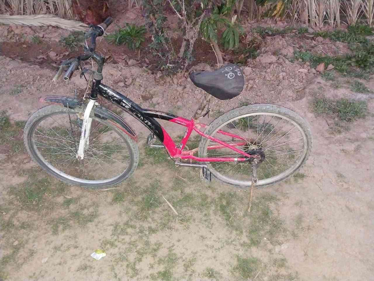 بايسكل للبيع
سعر 30 أوبي مجال


**إذا كنت صاحب هذا الإعلان وتريد حذفه لأي سبب، رجاءا أرسل رسالة إلى الدعم الفني**