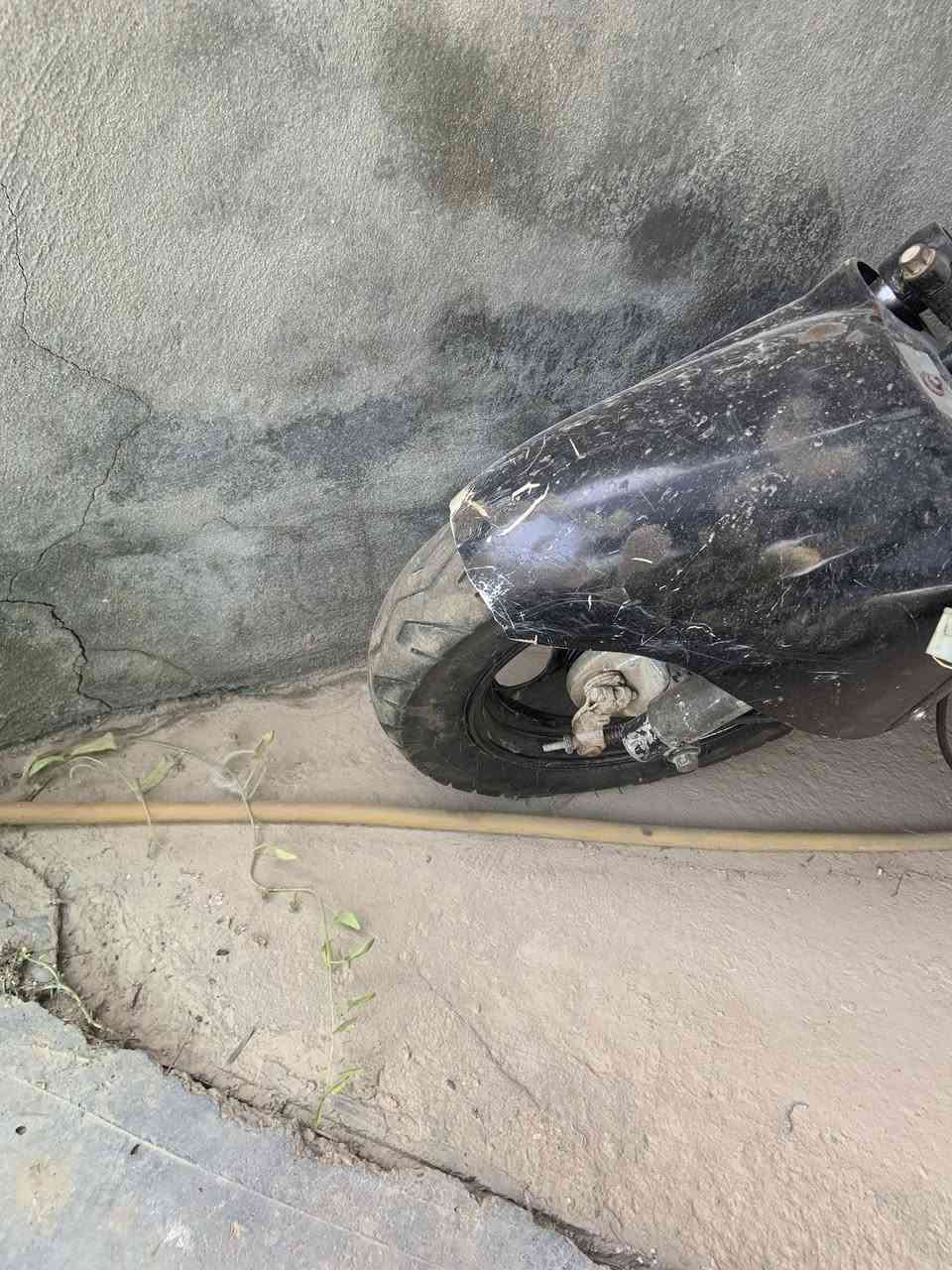 السلام عليكم اخوان
دراجه ان 7 زروف للبيع
YAMAHA

سرعه الدراجه 80km
 
اخوان الدراجه عمرتهة بس الصراحه احتاجيت فلوس و اريد ابيعهة عمرتهة ع نص يعني بعد يرادلهة ترتيبات و رجع  جديده تايرات جديد و وياله جدد و الشاصي مالتهة نضيف حيل غراظهة كامله بس ما كدرت اكمل تعمير لان مشغول يرادلهة ترتيبات بسيطه و ترجع جديده  مكينهة ياماهة نشطهة و سرعه 80 الدراجه حلوه بس يرادلهة شغل 

مكاني بغداد الدوره 

للستفسار خاص لو ع رقم 
*********** 
الرقم بي واتساب
