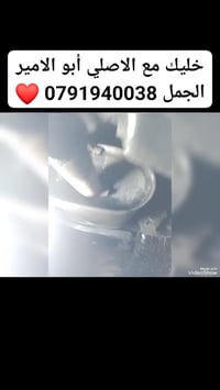 اكززتات • تركيب • ديزل وبنزين