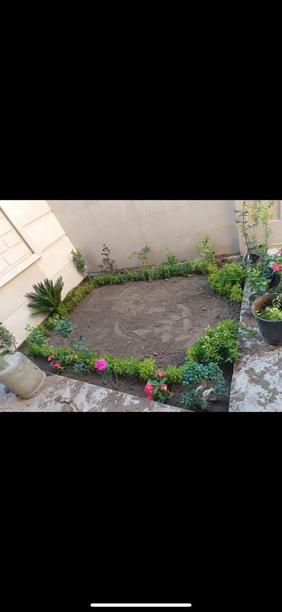 موسم خير ورزق حلال. يالله
مع بدايه موسم الربيع لعام 2026
تم نشاء حديقه رقم (8) خلال هذا لشهر
#حديقه_الاخت_دكتوره_ام_ناريمان
في الحله /الخسرويه
للاتصال او مراسله وتس اب ***********
#ضمان_العمل_10_سنوات
#متابعه_مجاناا_4اشهر

#اخوكم المهندس الزراعي
@إشارة
