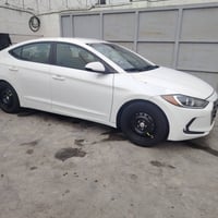 الانتره • ٢٠١٧ • وارد أمريكي