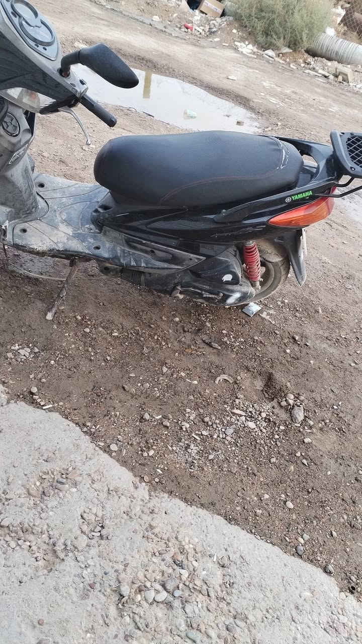 سلام عليكم سكنس فحل مدفوع كمركهه شلعه معدل كلجات رياضي خير من الله بس صار بيه حادث طكت حاضنه وشويه من بجم باقي كله شغل كفاله بغداد شعب شراي يخابرني ***********
