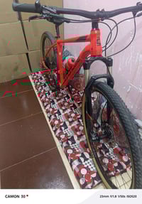 كانون دل • ٢٩ لارج • ديور اكس تي