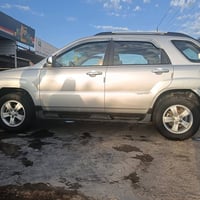 قطعتين صبغ • ٢٠٠٩ • ديوانية