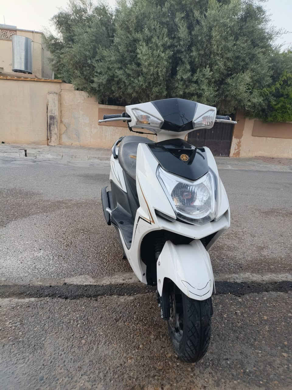 سكنس ياباني sشركه zkhشرط ممفتوح دراجه نضافه كدام العين شرط بلاديه ممفتوحه السعر675 الرقم***********
