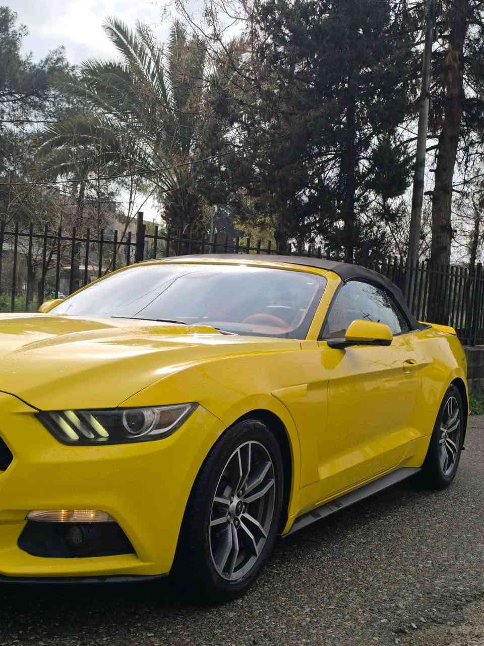 مكلف منشور اخوان العزيز 
فقط بیع 

Mustang amreki 
 موستانک امریکی
مــــــــودیل/2016
مواصفات/ كاميرة ، حساس ، 
محرك /  v.4 اربع سلندر
محرك مفتوح 
بدون ایرباك ، بدون دواخل
بدون صبغ  ٣ مكان تعديل 
١٨٣٠٠ كم ماشي 
سنوية جديدة  

سعر   (( 13700 $  )) 
عنوان اربیل ، للاستفسار أربيل, العراق


**إذا كنت صاحب هذا الإعلان وتريد حذفه لأي سبب، رجاءا أرسل رسالة إلى الدعم الفني**