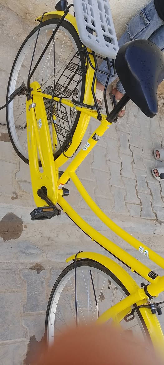 سلام عليكم شباب باسكل للبيع حاويه نضيف مديل 22سعره140وبي مجال قليل مكان نجف حي الجمعيه


**إذا كنت صاحب هذا الإعلان وتريد حذفه لأي سبب، رجاءا أرسل رسالة إلى الدعم الفني**