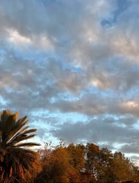 دوانم للبيع بغداد الرضوانية معمل زينب شارع رابع واجه الدونم الواحد 60م...