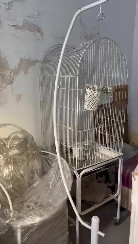 للبيع ديكور اوروبي ينفع للحديقه او للبلكونه غير مستخدم تسكام حديد


**إذا كنت صاحب هذا الإعلان وتريد حذفه لأي سبب، رجاءا أرسل رسالة إلى الدعم الفني**