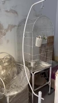 ديكور اوروبي • حديقة • بلكونة