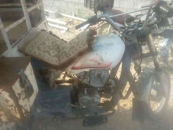 ستوته للبيع ديالى جلولا رقم *********** 800
