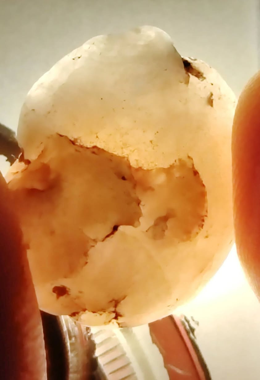 سلام عليكم 
للبيع حجر مصور اكثر من تصوير طبيعي 
السعر خاص لتواصل واتساب ***********
