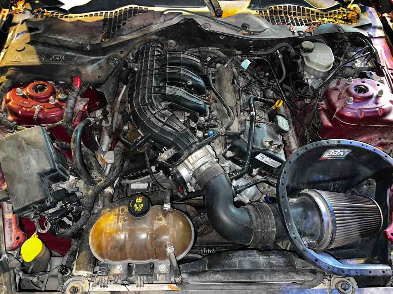 السلام عليكم
Ford Mustang 2015 v6
engine 3.7

اضافات 
شوتة bbk
هدرز bbk
داون بايب 
 اكس بايب 
برمجة بوب كورن 
بنيد فايبر الياف 
دواخل كاربون فايبر 
ويل حجم ٢٠ اصلي 
ممشى ٤٥ الف ميل 
بجم كبس 

واتساب ***********
