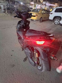 سكنس صيني • أوراق باسمي • مكفولة