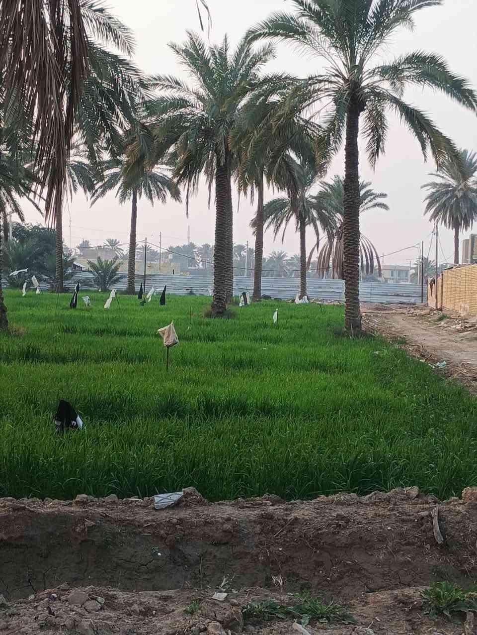 سلا عليكم
ارض طابو صرف بستان  للبيع  1000متر 

توجد كافه الخدمات ماء كهرباء. 

الارض قريبه ع شط الهاشميه  طريق محريجه 

وقريبه ع شارع. علي قمار.  

لاستفسار. 
‏‪***********‬‏

صافي السلطاني
