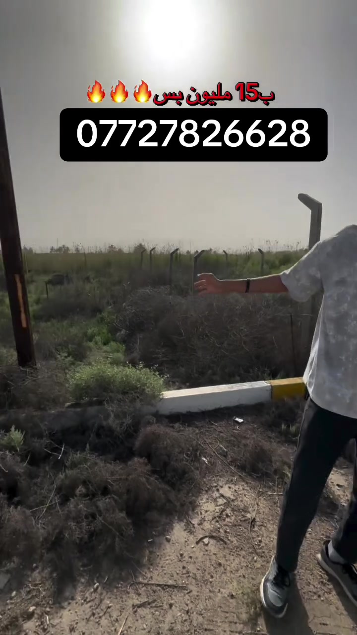 ركز🌺🌺


**إذا كنت صاحب هذا الإعلان وتريد حذفه لأي سبب، رجاءا أرسل رسالة إلى الدعم الفني**