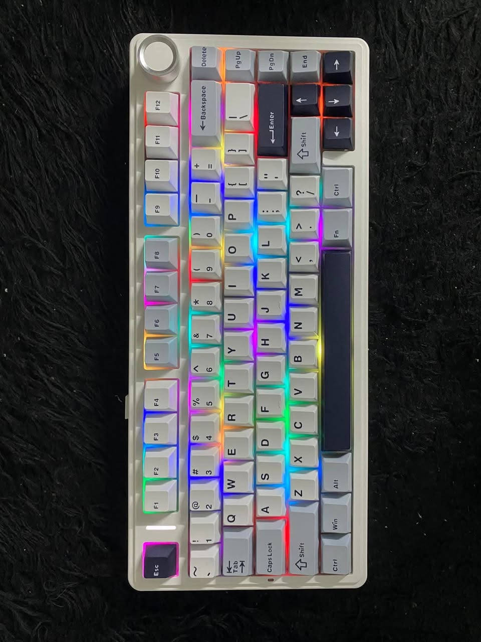 الكيبورد التحفة الفنية Aula F75 🔥
واير- وايرليس - بلوتوث
RGB اكثر من 1.8 مليون لون
حجم 75%
السويج
Linear LEOBOQ Reaper Axis
بطارية 4000mAh
يحتوي على Knob للتحكم بالصوت
الكيبورد جديد ابد ما مستخدم

متوفر توصيل كل العراق


**إذا كنت صاحب هذا الإعلان وتريد حذفه لأي سبب، رجاءا أرسل رسالة إلى الدعم الفني**