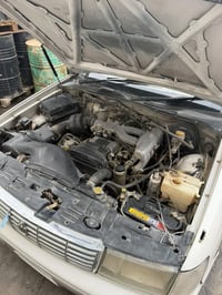 بطة • منفصل • مجال للشراي