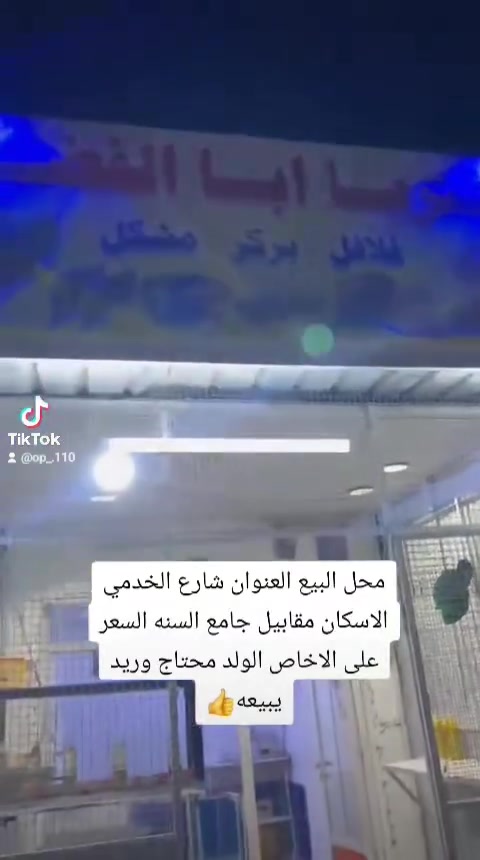رقمي *********** وتساب اتصال هلا بيكم
