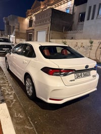 كورلا • ٢٠٢٣ • البصرة