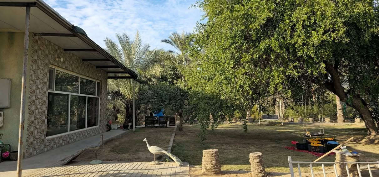 موقع مثالي في كربلاء💯
✅️مزرعة للبيع مساحة 
خمسة دونم واجهة 200 م  
تحتوي على دار إستراحة 
تحتوي على 300 نخلة ملونة 
تحتوي على 900 شجرة مثمرة 

✅️متوفرة كافة الخدمات
تبليط، ماء، كهرباء، مدارس 
طابو سند 25 سند مستقل 
منفرد بإسم شخص واحد 

✅️الموقع كربلاء - شارع رابط
 الزبيلية( قرب معمل غاز العرفان ) 
تبعد عن شارع رابط الزبيلية 500 م
تبعد من مركز مدينة كربلاء 10 كم 

💰سعر المزرعة// مليار دينار عراقي 

📞إتصل الآن: ***********
مكتب حيدر الحسناوي للعقار عنوان المكتب كربلاء شارع الرابط قرب جامع دمعه رقيه
