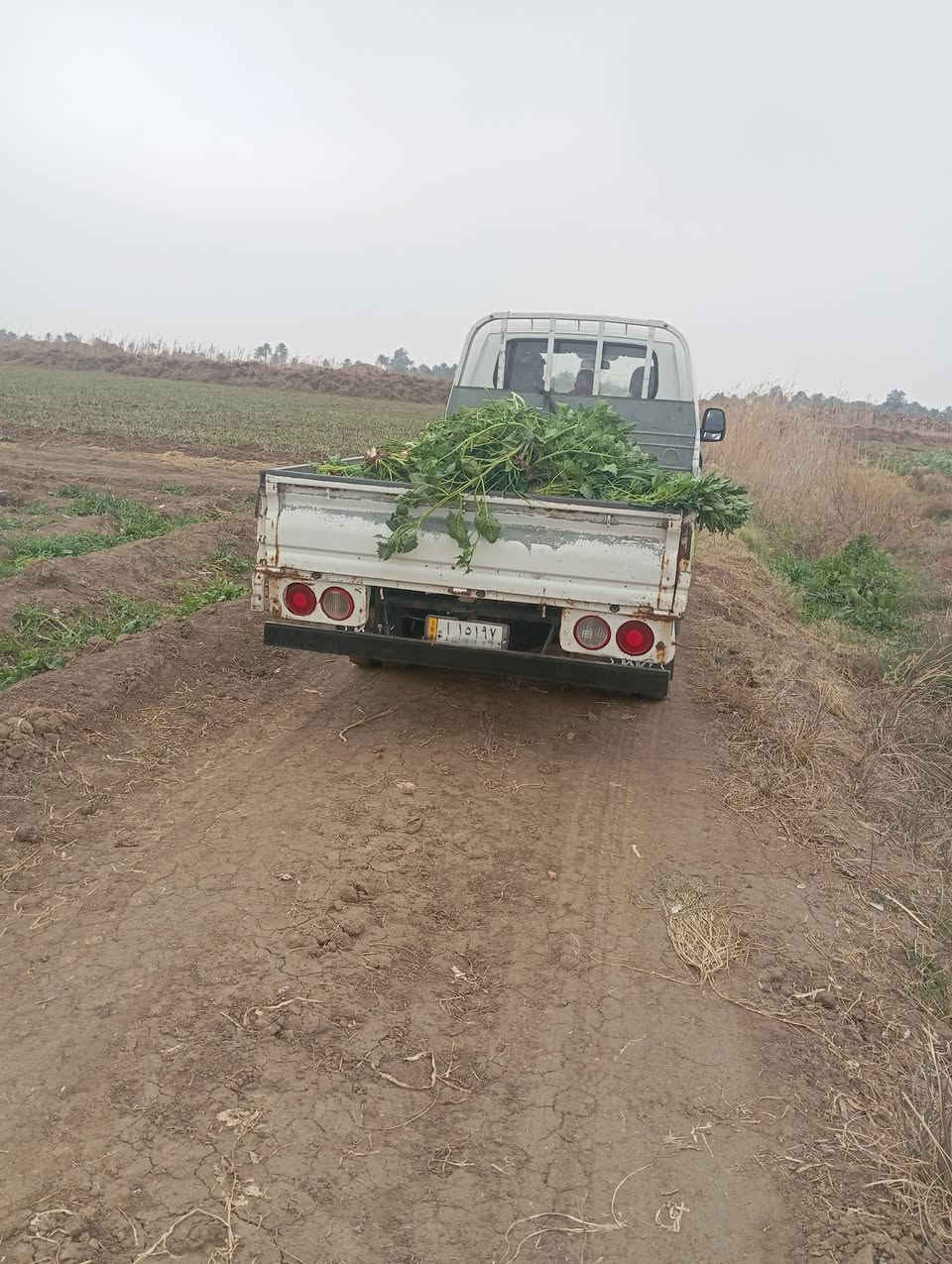 السلام عليكم كيا 12 للبيع سياره مقفوله كفاله عامه المكان بابل ***********
