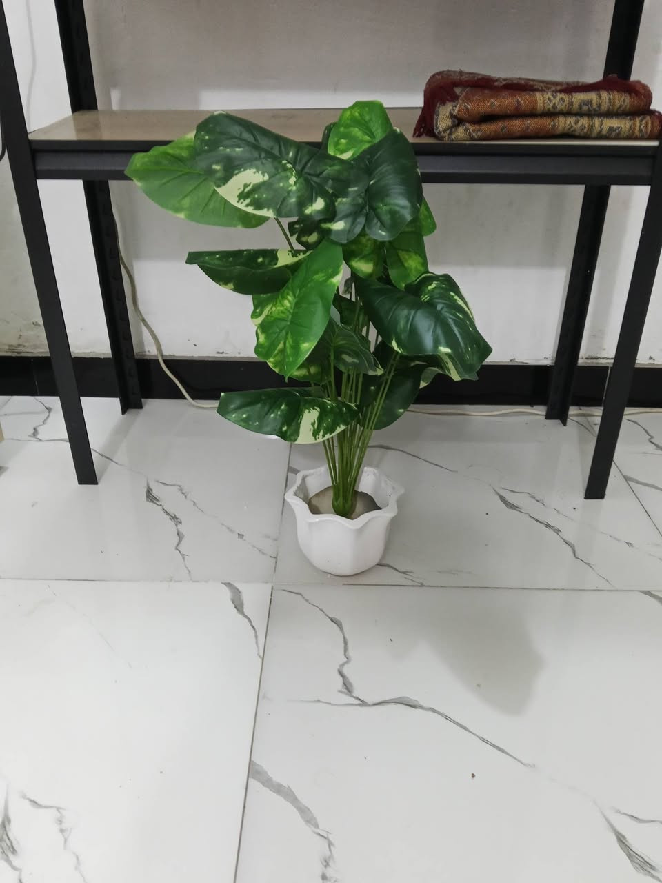 السلام عليكم شباب أغراض منزلية وحدائق ايباد تيلسكوب ورد اغصان كرسي هزاز كرسي كيمنك كلشي بلصور موجود باسعار مناسبة الشراي يتواصل ***********
