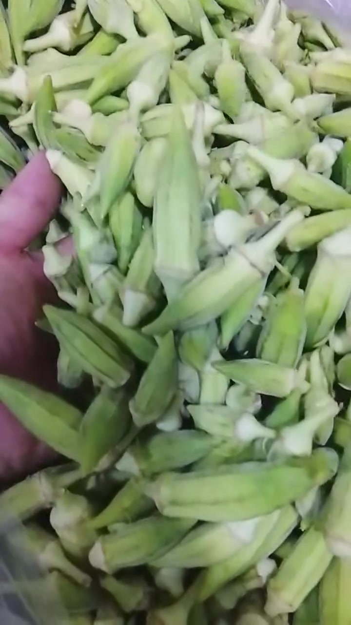 بفضل الله تعالى وصول مخضر فواكة ❤️🥰❤️اي وقت طلب تدلل توصيل داخل بعقوبة مجاني مجاني باب البيت مجاني اخوكم فتيان الجادري محلات مفتوحة من صبح ليل 
توصيل ***********
