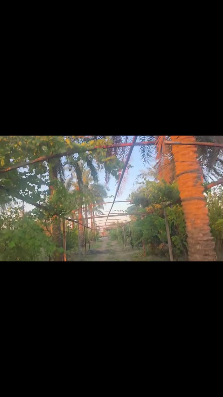 مزرعه لبيع مساحه دونم نص     

سند ٢٥ 
صلاح الدين    بلد
***********
