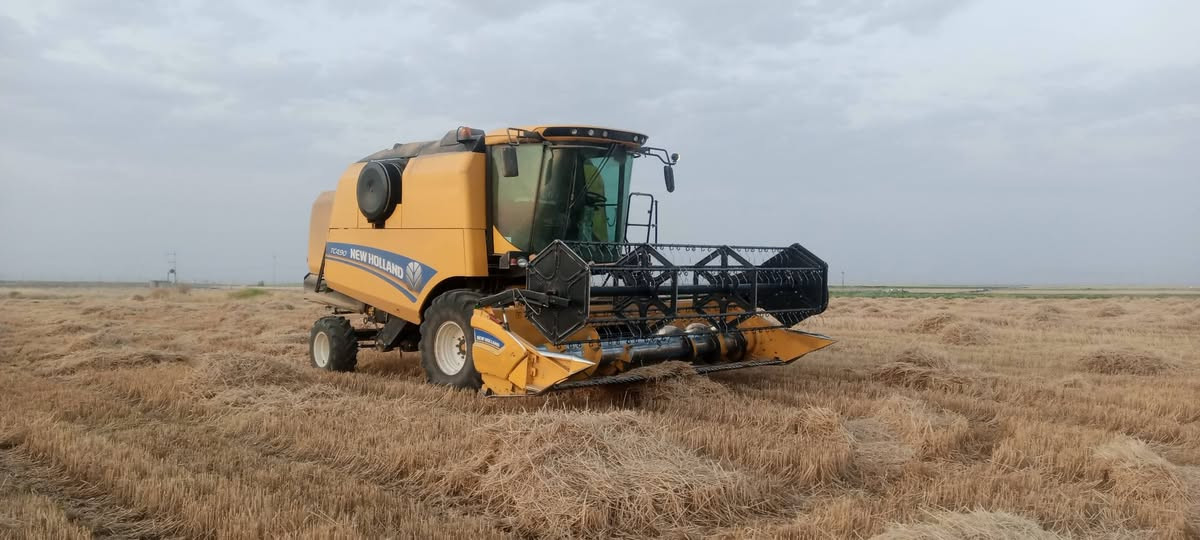 للبيع حاصده 4 بلم دبل درام عاده 2850 رقم أربيل مكان واسط الزبيدية ***********,,***********،،كفاله عامه
