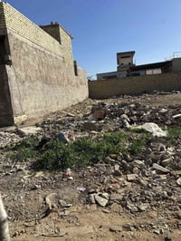 بسعيده خلف شقق • زراعي • ١٠٠م