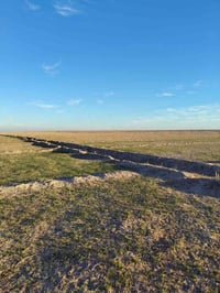 بلكصير • ٢٣٣دونم • بير العام