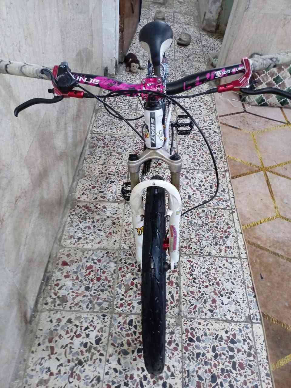 السلام عليكم بايسكل استعراضي للبيع نضافه100/100 التزويد
ستيرن استعراضي
بريك هايدروليك 
بطيخه سبع اللون زوج (امامي مشادة موجودة) 
دشلي 10 (غير هذا حجم كبير) 
عقرب شفتر 
السعر 275 وبي مجال المو شراي لا يكسر بالسعر 
مكاني قرب مركز شرطه الجعيفر  الاستفسار على هذا الرقم ***********
