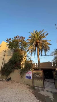 طابو صرف • بابل الخسرويه • ٣٤٣م