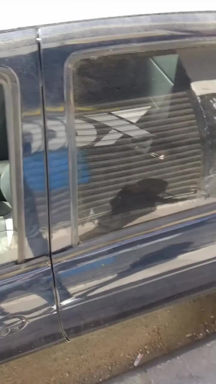 سيفيا 1 95
مرخصة لشهر 6 
غرفه وكاله 
ماتور فحص 
جير عادي فحص 
دهان 90بالميه 
للاستفسار 0797690247


**إذا كنت صاحب هذا الإعلان وتريد حذفه لأي سبب، رجاءا أرسل رسالة إلى الدعم الفني**