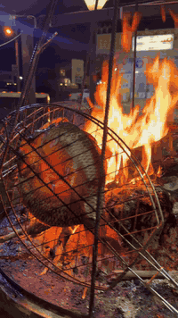 مسكوف سمك • توصيل • خانقين