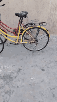 بايسكلات للبيع اول ثنين مابيهن شي نظيفات وثنين عاطلات كلهن 75 الف مكان الزبير الصحفين الثانيه للتواصل
***********
