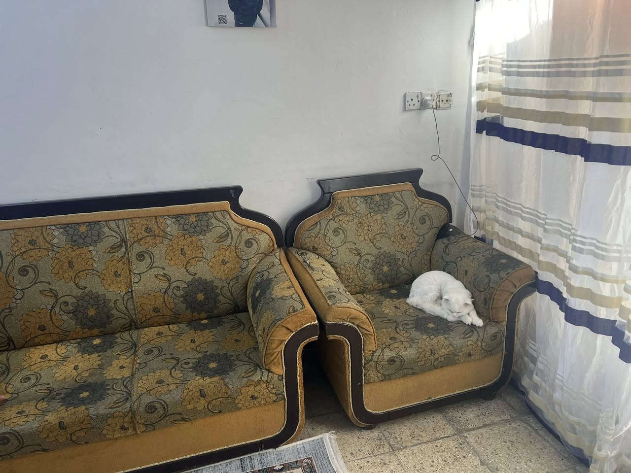 حط سعرك واخذه


**إذا كنت صاحب هذا الإعلان وتريد حذفه لأي سبب، رجاءا أرسل رسالة إلى الدعم الفني**