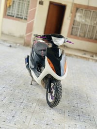 ماكس • كفالة عامة • شادة قبل شهرين