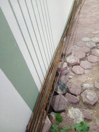 ١٤ شيش • ١٢ متر • فضلات