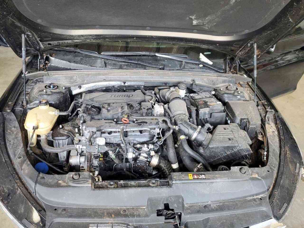 kia k5 2024
الفئة :    GT Line
الموديل : 2024 محرك  4 سلندر 1600 تيربو
اللوحة : رقم اربيل باسم شركة تحويل او مداور
ارباك : دركة و رجلين
عداد المسافه :  15 الف mi فقط 
نوع الضرر :  دعامية امامية فقط
________________
المواصفات ............
محرك 4 سلندر 1600
لايت زنون
فتحة سقف بانوراما
تحديد مسار
رادار امامي
رادار جانبي
كامره دواره
حساس خلفي
اشارة بالمرايه
اريل نڤگيشن
دواخل جلد اصل 
 تدفئة تبريد كشنات
كشن سايق كهرباء 
شاشه كبيرة
جنطة كهرباء
بك لايت لد 
بصمة تشغيل
تدفئة ستيرن 
قياده ذاتيه على الخطوط السريعه
مثبت سرعه
نضام قياده ايكو+سبورت +سمارت+نورمال 
تشغيل عن بعد
تبريد خلفي
نظام تحكم 
اوتو هولد
ستيرن كهرباء
نظام ترحيب 
سستم صوت متكامل 
منافذ شحن USB Type-C
السعر 180 ورقة 
 +964 770 017 1145
مكان السيارة النجف الأشرف
_______________
