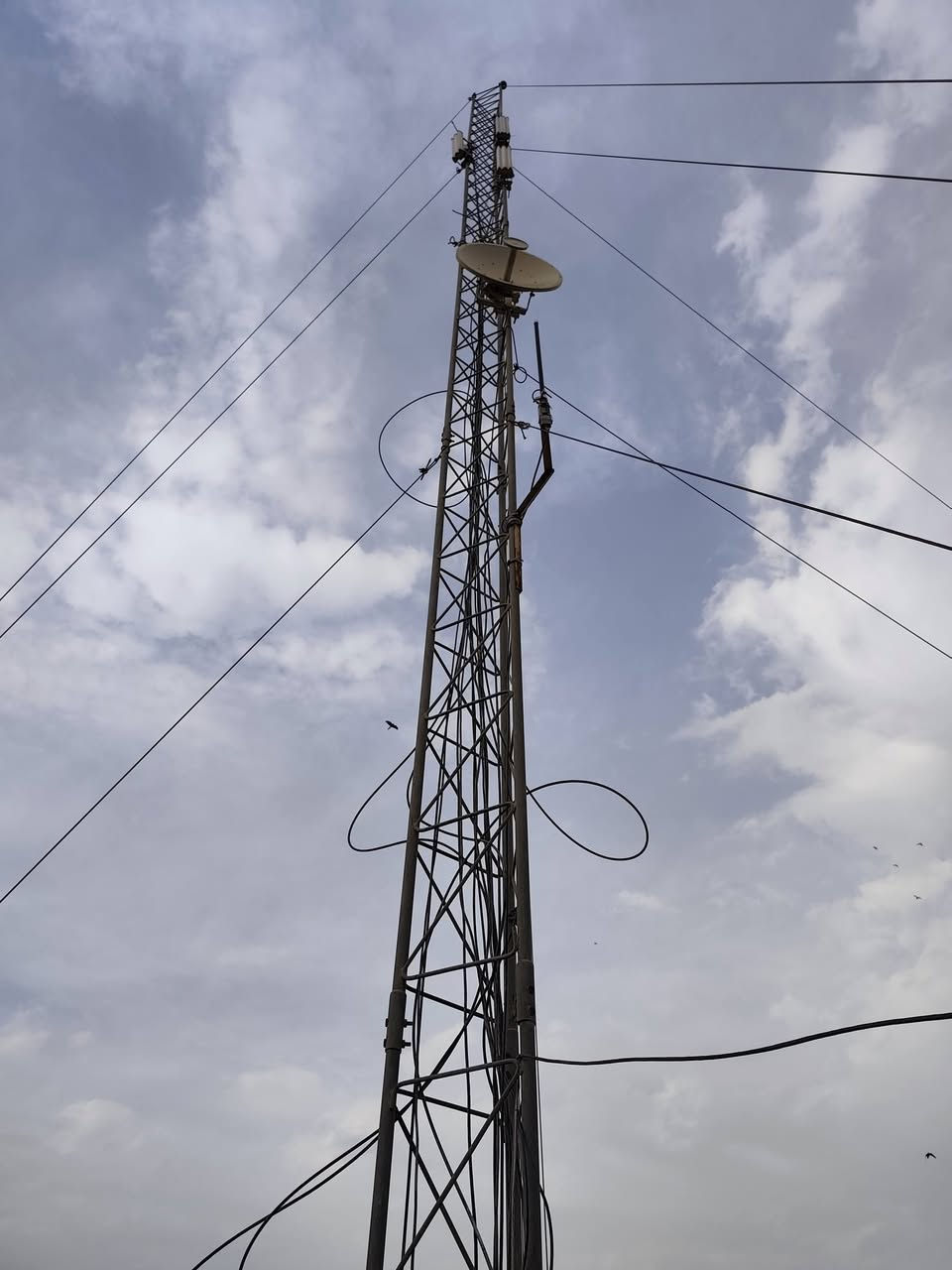 السلام عليكم..
تحيه طيبه..
برج منصوب للبيع في محافظة النجف الأشرف مركز المدينة 
حديد 35 إيراني 15 متر
كرفان بأبعاد (1×1.5×2)
سبلت حجم واحد طن
سكترات ubnt زاوية 120 عدد 3
روكتات عدد 3
اومني + متل 5G
عاكسة مكزيما 850 + بطارية 150 
سويج 1G
بور سبلاي 30A 
باچ بنل 1G
وكل ذلك موضح بالصور

قيم السعر بما يرضي رب العالمين وما نختلف إن شاء الله 
للتواصل واتساب (غير متواجد على الفيسبوك)
***********
