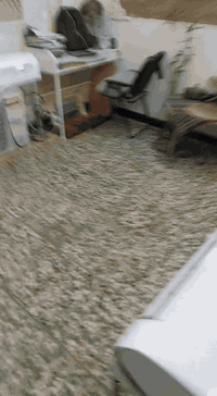 ✨ سبالت جدد البيع واحد منهم هانيس مو اونكس الشري يتصل 07711616628