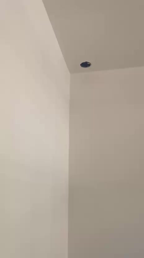 السلام عليكم 
خلفات لبخ وبياض وجص درجه اولا
تكنيد مساطر الاتصال ***********
