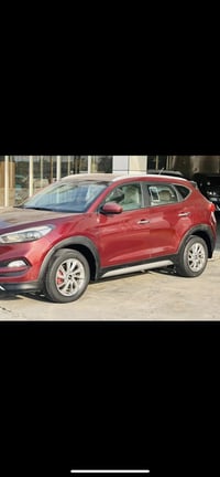 توسان • ٢٠١٧ • وارد أمريكي